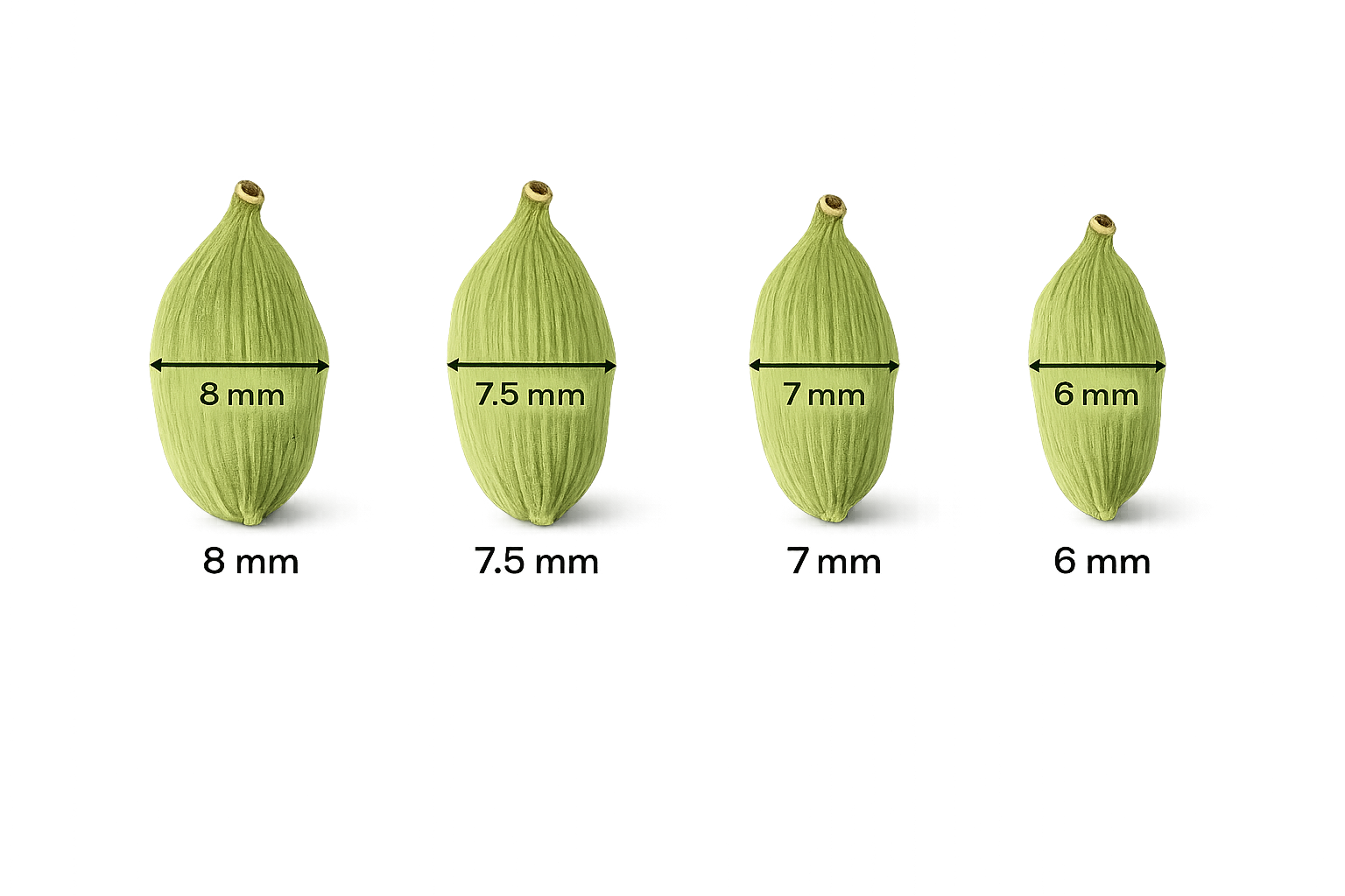 Cardamom Size Grading